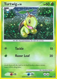 Turtwig card in English