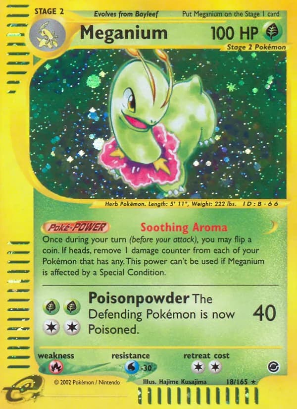 Meganium card in English