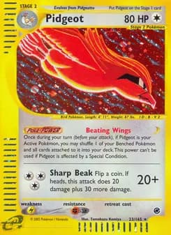Pidgeot card in English