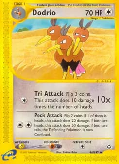Dodrio card in English