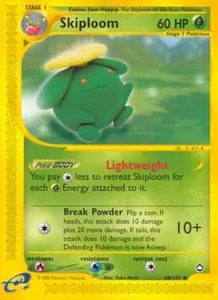Skiploom card in English