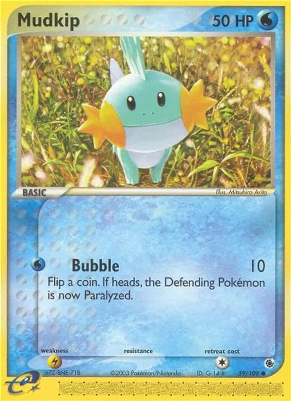 Mudkip card in English