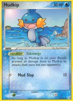 Mudkip card in English