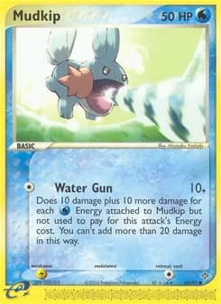 Mudkip card in English