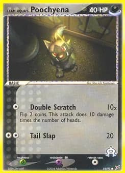 Team Aqua's Poochyena card in English