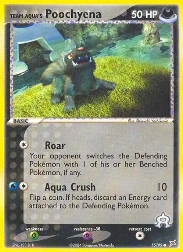 Team Aqua's Poochyena card in English