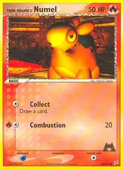 Team Magma's Numel card in English