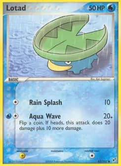 Lotad card in English
