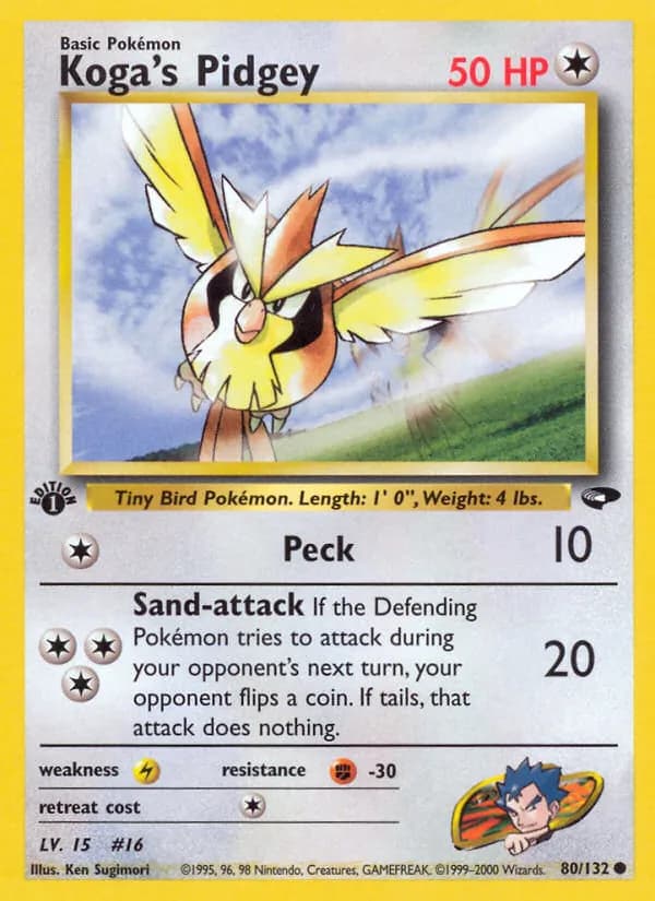 Koga's Pidgey card in English