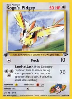 Koga's Pidgey card in English