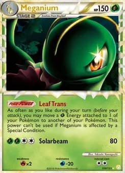 Meganium card in English