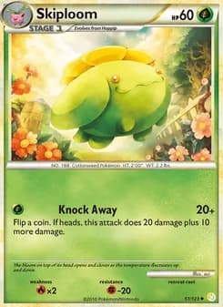 Skiploom card in English