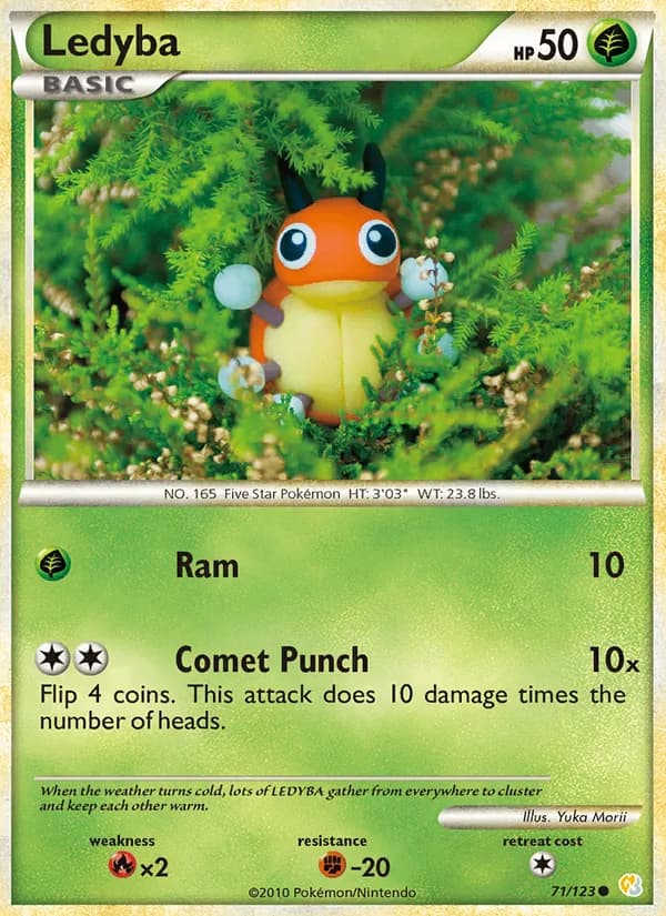 Ledyba card in English