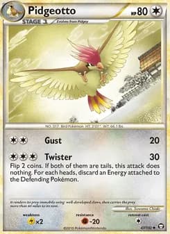 Pidgeotto card in English