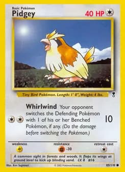 Pidgey card in English