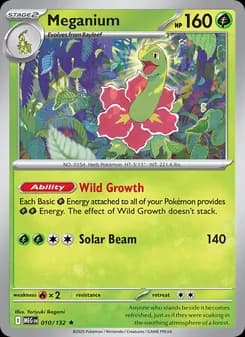 Meganium card in English
