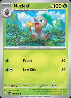 Nuzleaf card in English