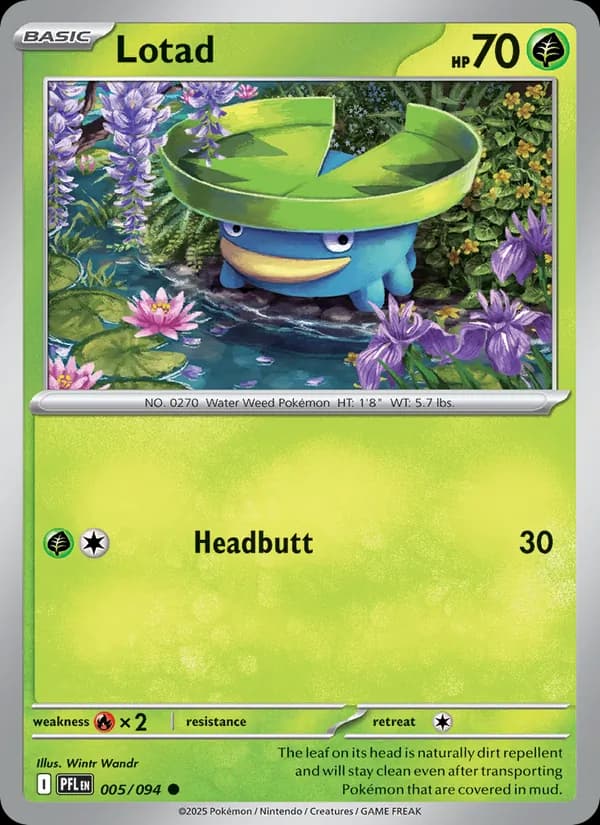 Lotad card in English