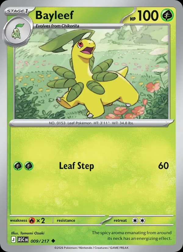 Bayleef card in English