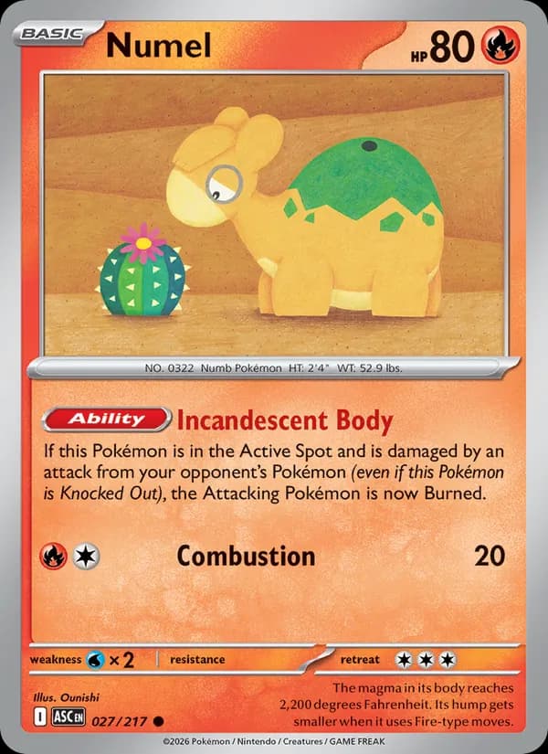 Numel card in English