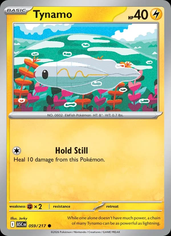 Tynamo card in English