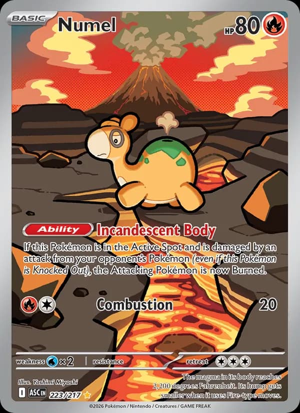 Numel card in English