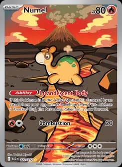 Numel card in English