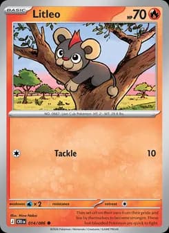 Litleo card in English