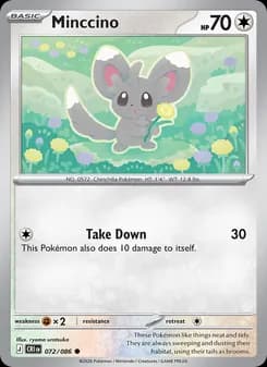 Minccino card in English