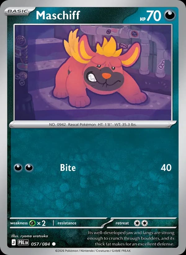 Maschiff card in English