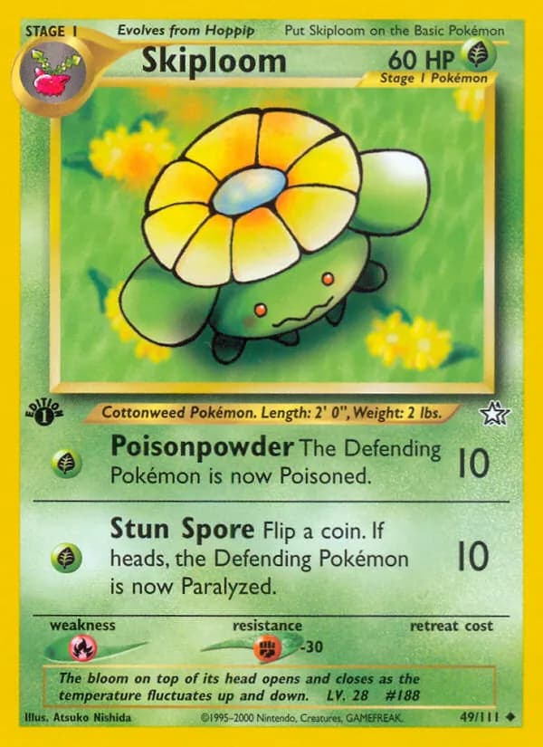 Skiploom card in English