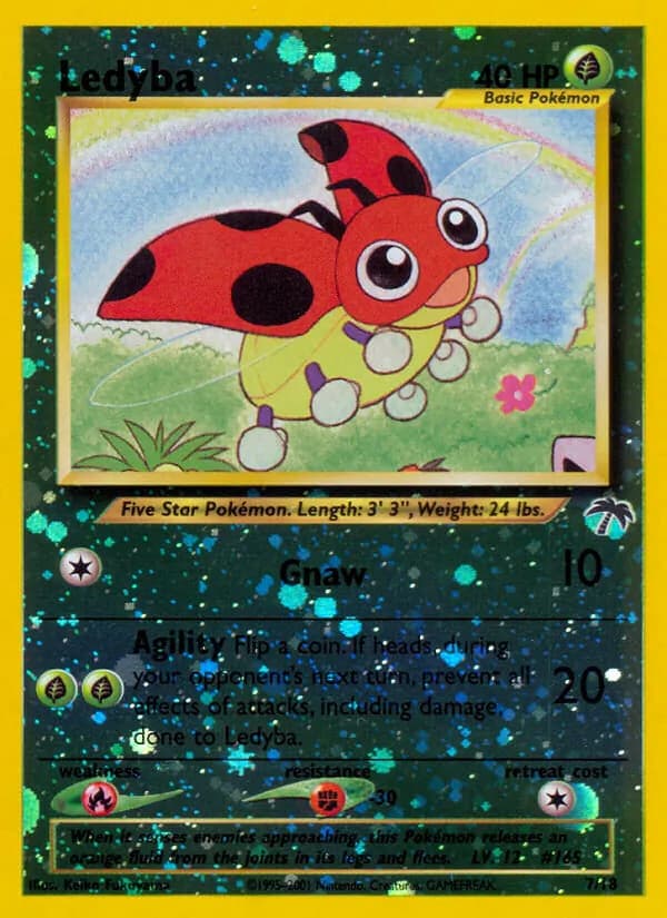 Ledyba card in English