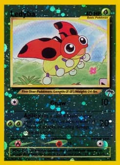 Ledyba card in English