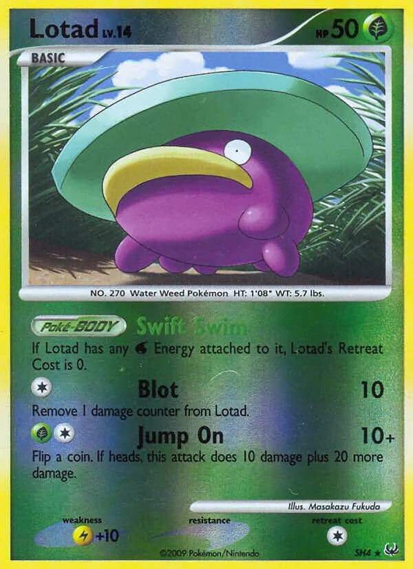 Lotad card in English