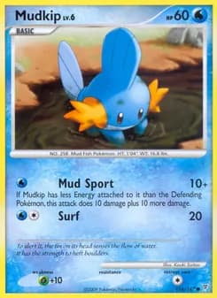 Mudkip card in English