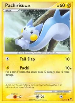Pachirisu card in English