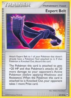 Expert Belt card in English