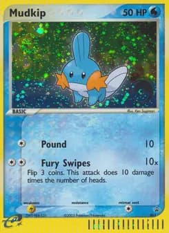 Mudkip card in English
