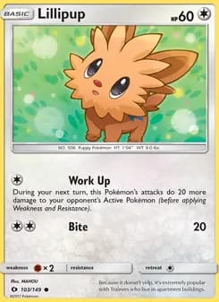 Lillipup card in English