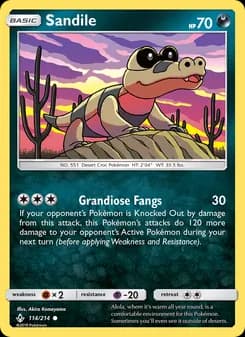 Sandile card in English