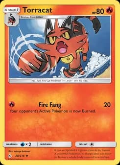 Torracat card in English
