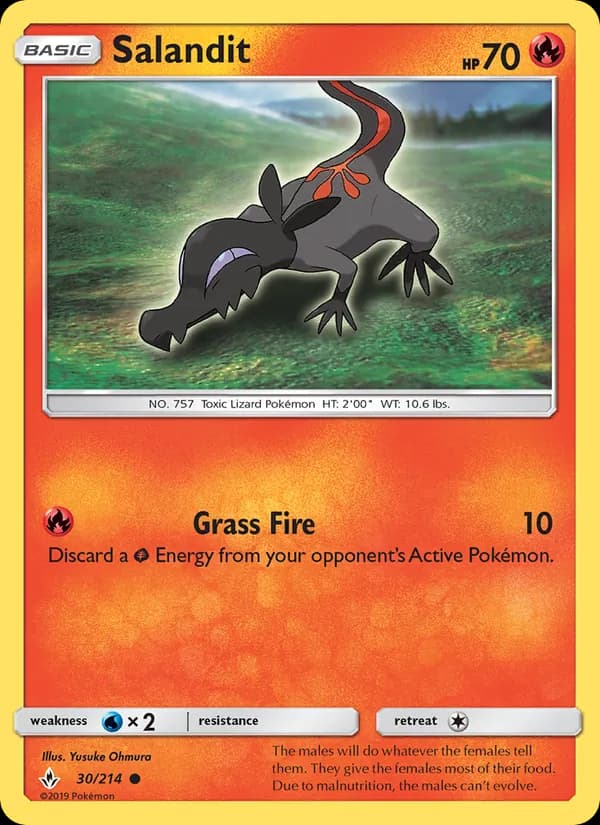 Salandit card in English