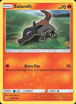 Salandit card in English
