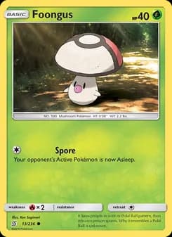 Foongus card in English