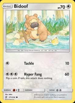 Bidoof card in English