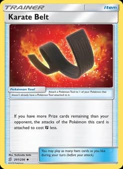Karate Belt card in English