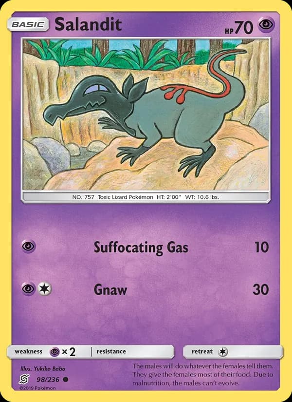 Salandit card in English