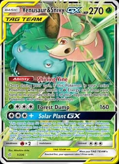 Venusaur & Snivy GX card in English