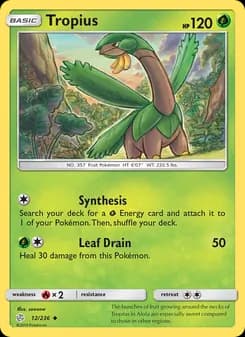 Tropius card in English