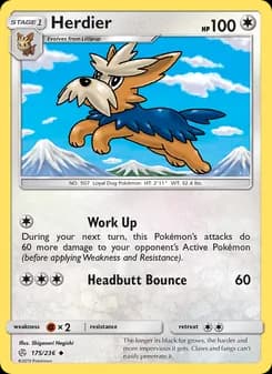 Herdier card in English